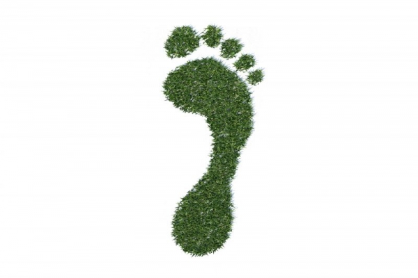 8 consigli per respirare aria più pulita e ridurre l'impronta di carbonio
