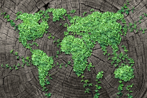 Il progetto Get up and goals! e le risorse didattiche per trattare il cambiamento climatico